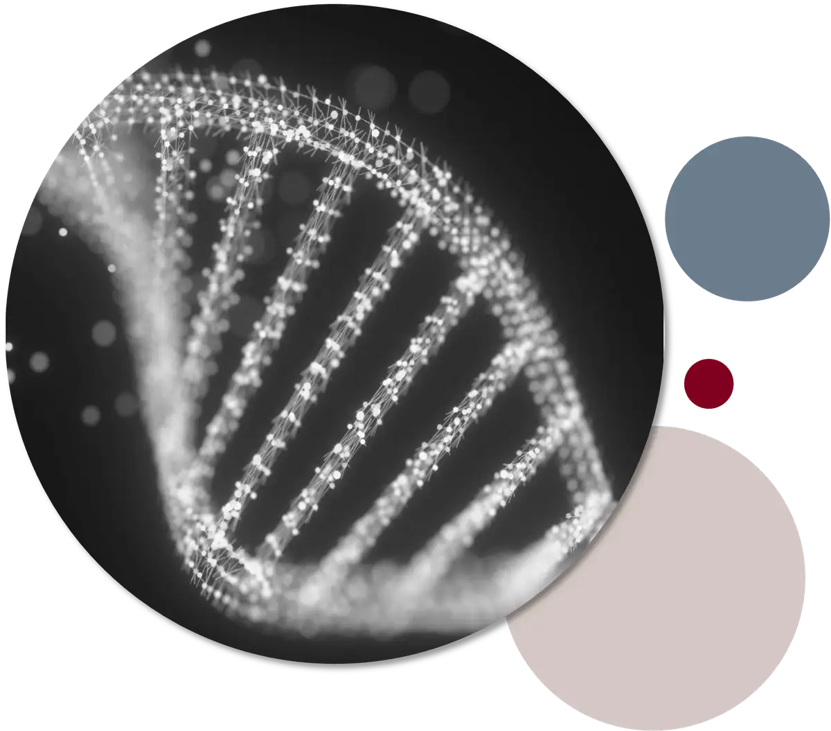Pharma Directions Drug Development