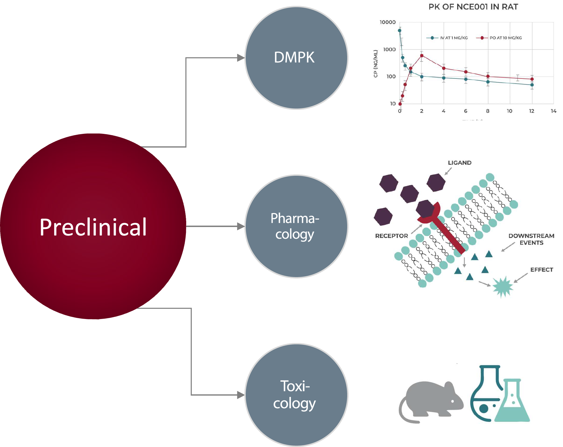 Preclinical Experts